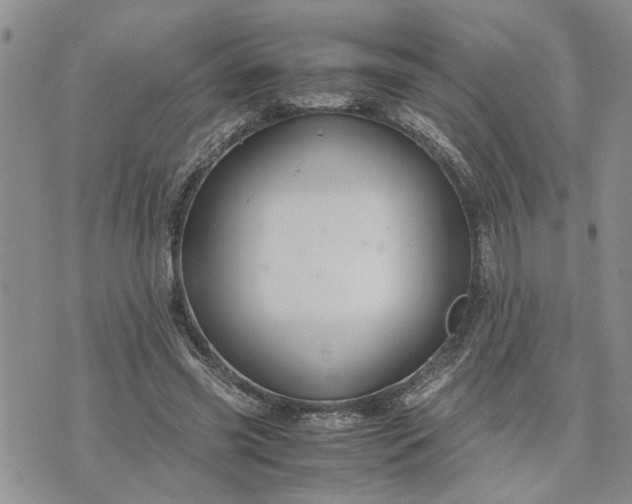 X0000071860541200607141817