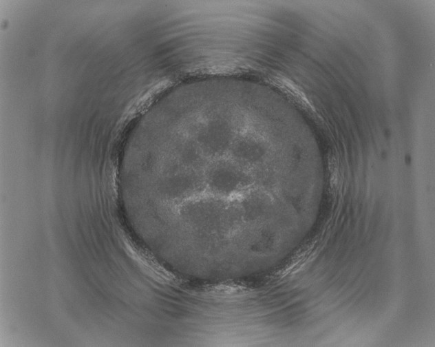 X0000071860542200607141817