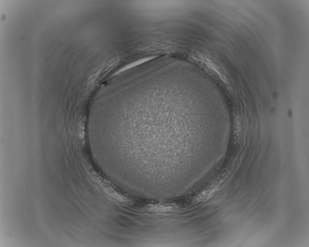 X0000071860545200607141818