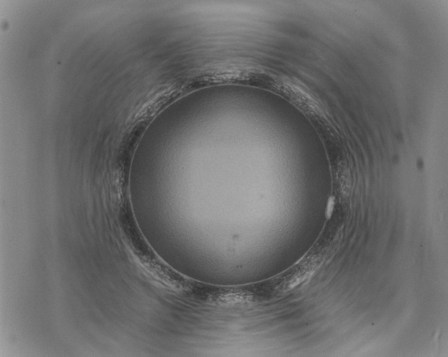 X0000071860546200607141818