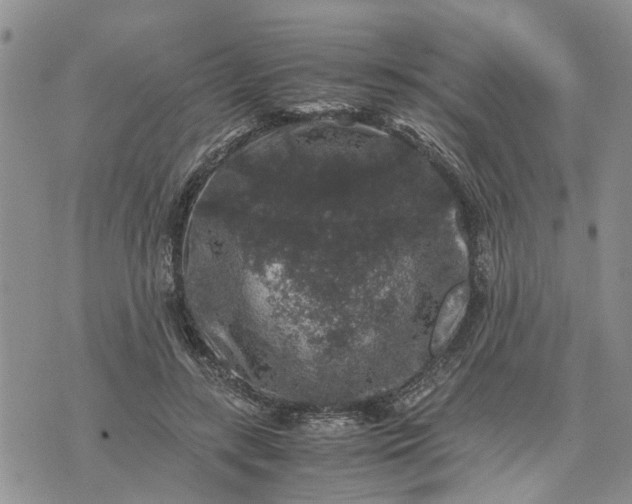 X0000071860547200607141818