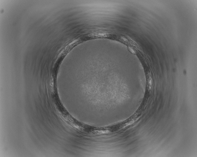 X0000071860552200607141818