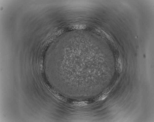 X0000071860553200607141818