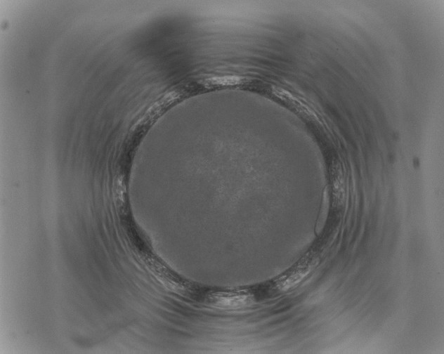 X0000071860555200607141818