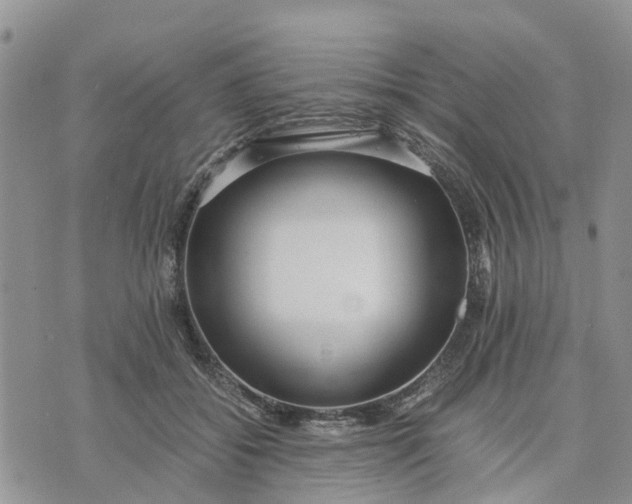 X0000071860556200607141818