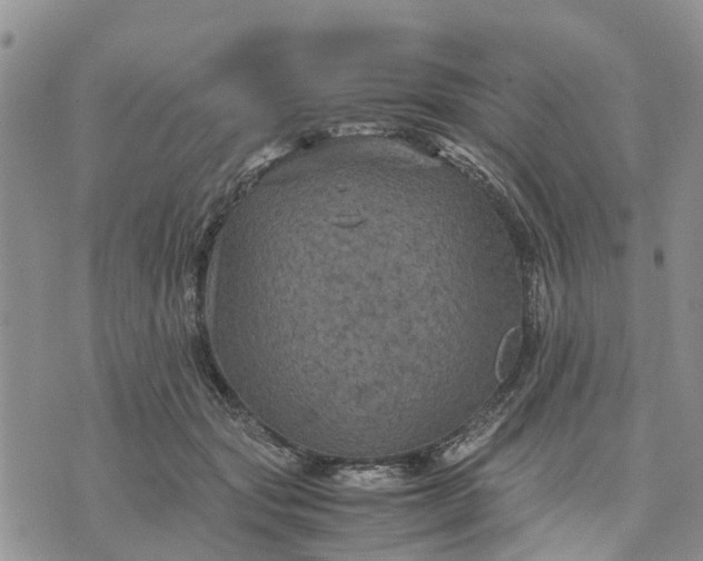 X0000071860557200607141818