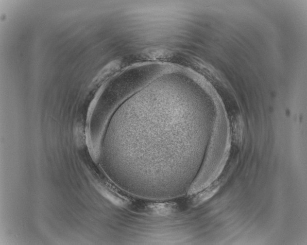 X0000071860558200607141818