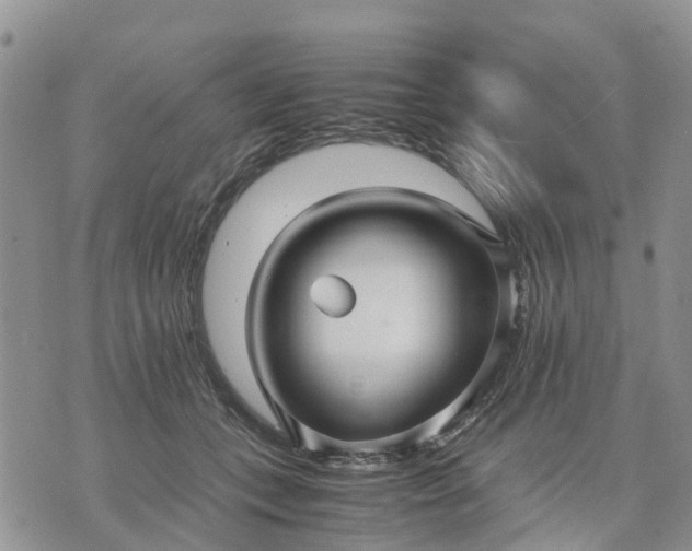 X0000071860559200607141818