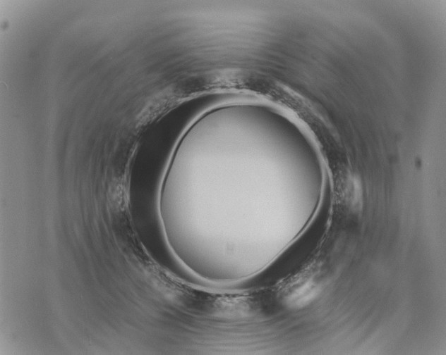 X0000071860560200607141818