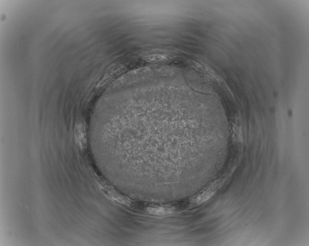 X0000071860561200607141818