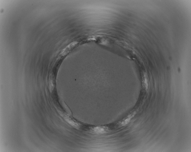 X0000071860566200607141818