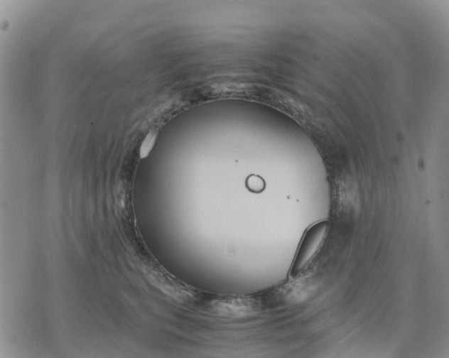 X0000071860567200607141818