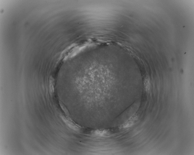 X0000071860570200607141818