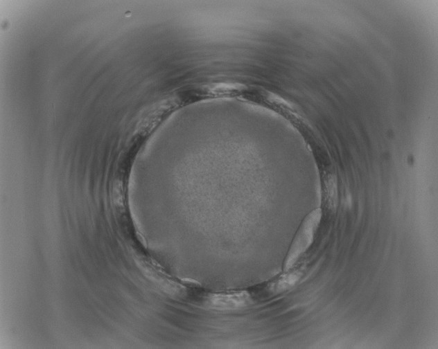 X0000071860571200607141818