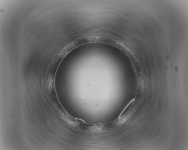 X0000071860574200607141818