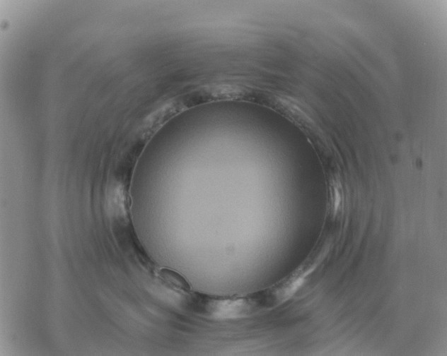 X0000071860575200607141818