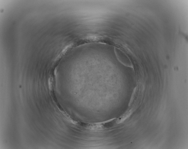 X0000071860576200607141818