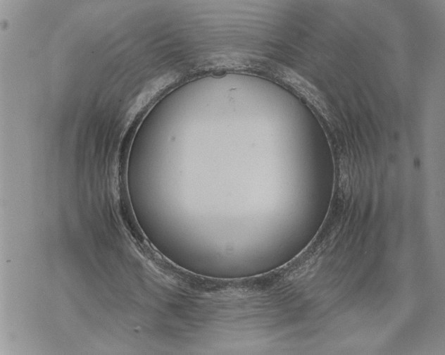 X0000071860578200607141817