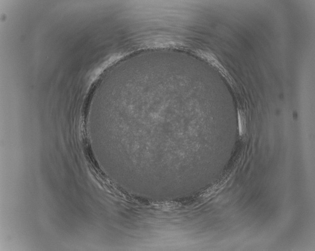 X0000071860579200607141817