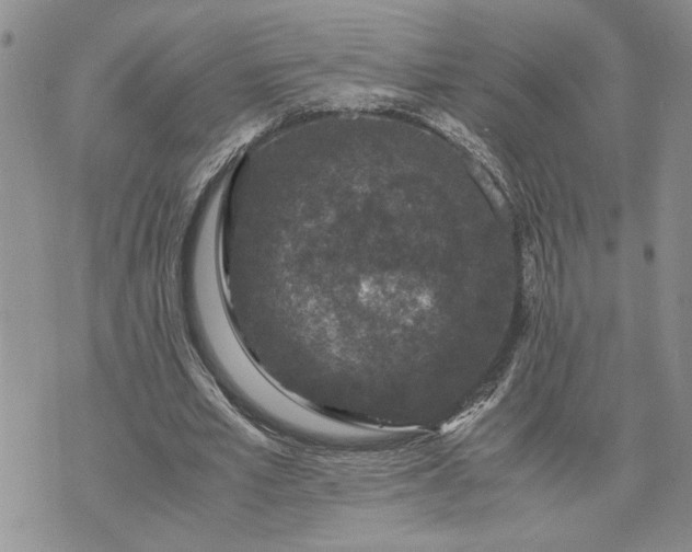 X0000071860581200607141817