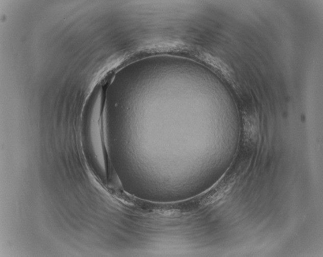 X0000071860582200607141817