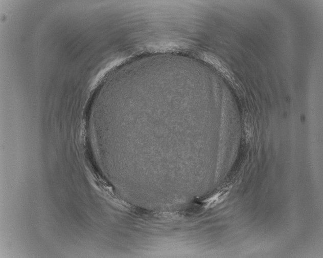 X0000071860583200607141817