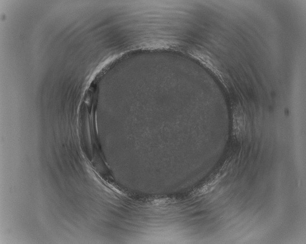 X0000071860584200607141817