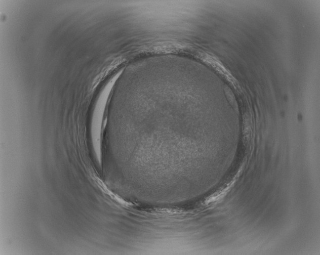 X0000071860585200607141817