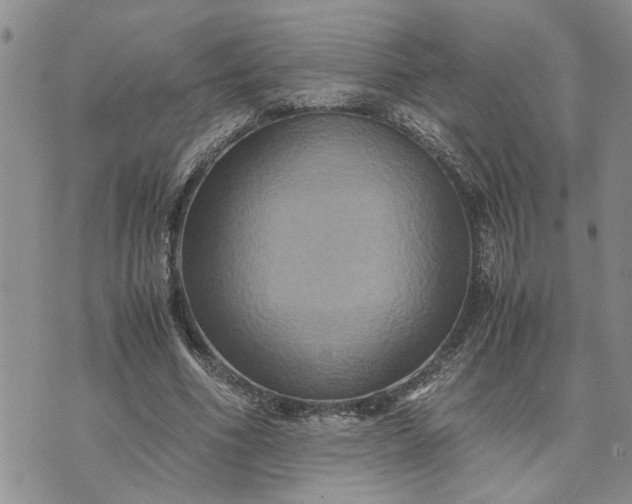 X0000071860586200607141817