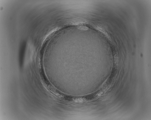 X0000071860587200607141817