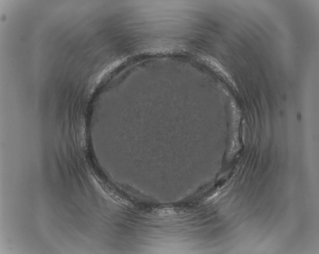 X0000071860588200607141817