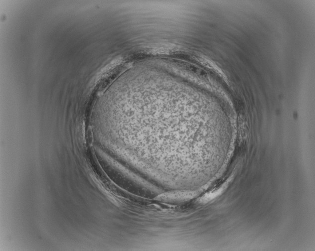 X0000071860589200607141817