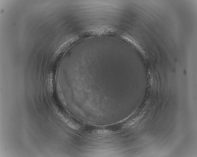 X0000071860590200607141817