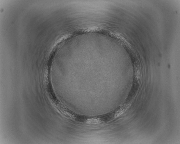 X0000071860591200607141817