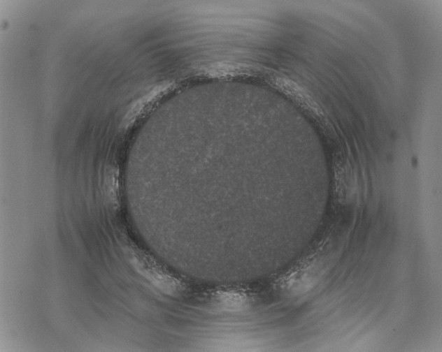 X0000071860592200607141817