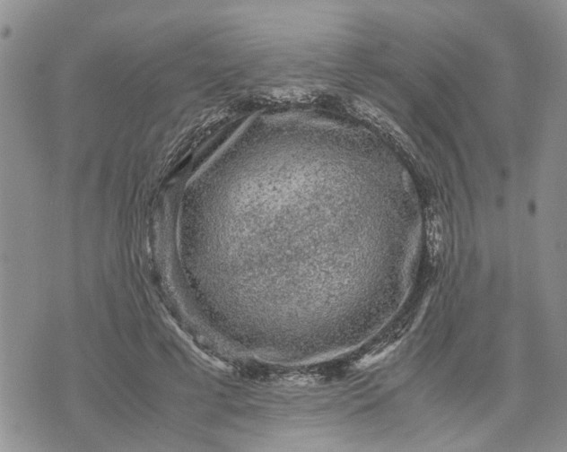 X0000071860593200607141817