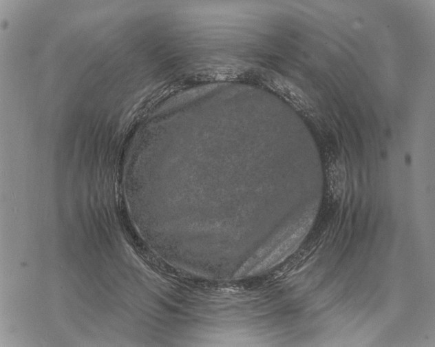 X0000071860594200607141817