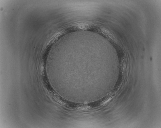 X0000071860595200607141817