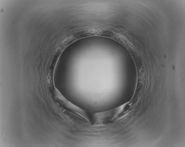 X0000071860597200607141817