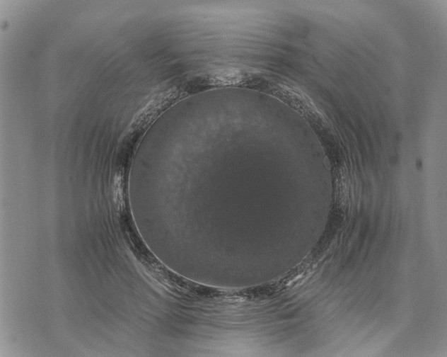 X0000071860598200607141817