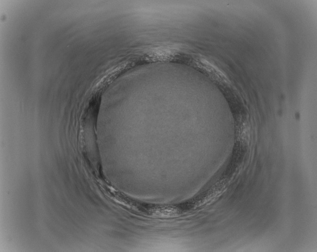 X0000071860599200607141817