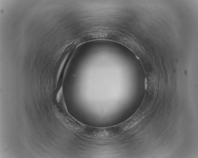 X0000071860600200607141817