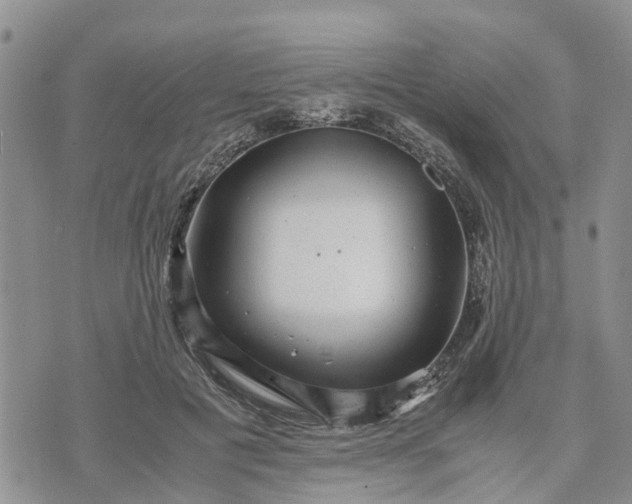 X0000071860601200607141817