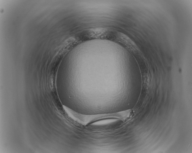 X0000071860602200607141817