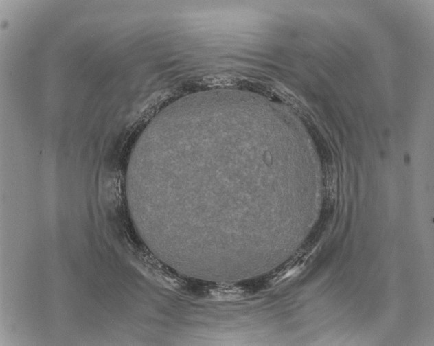 X0000071860603200607141817