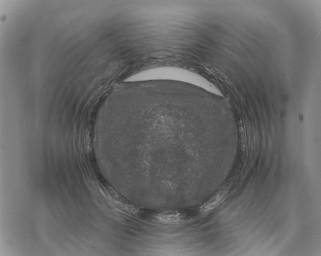 X0000071860606200607141817