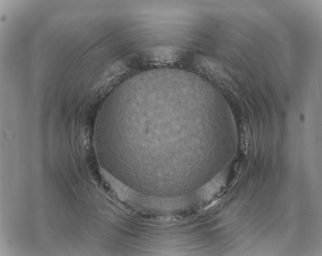 X0000071860608200607141817