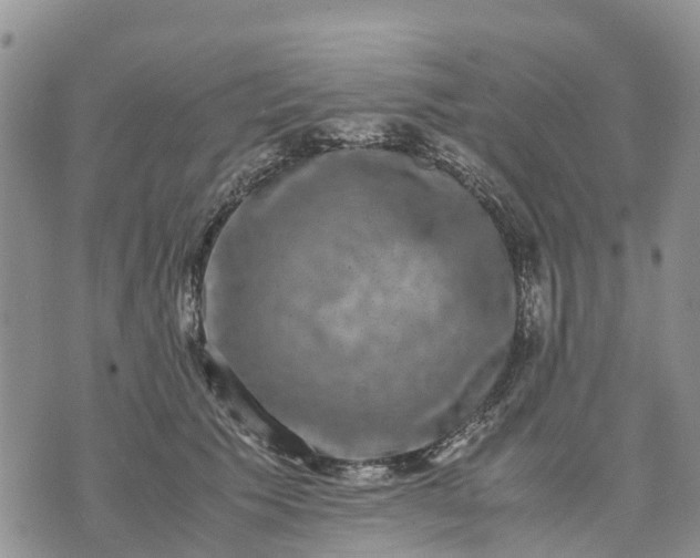 X0000071860609200607141817