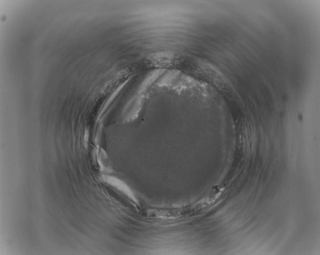 X0000071860610200607141817