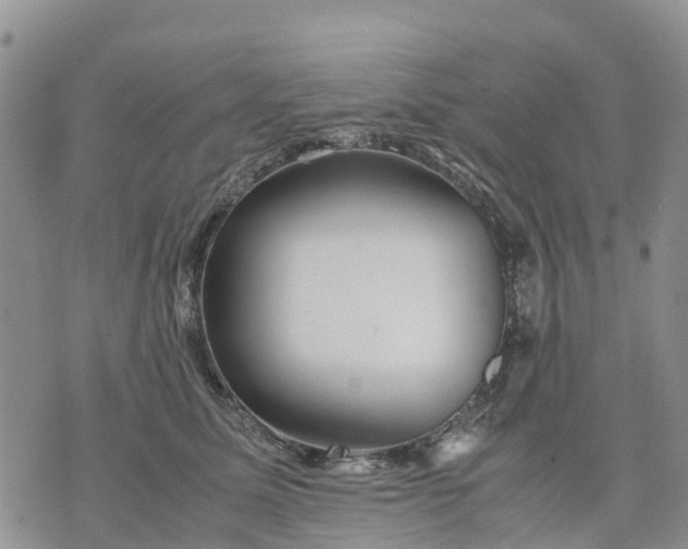 X0000071860611200607141817